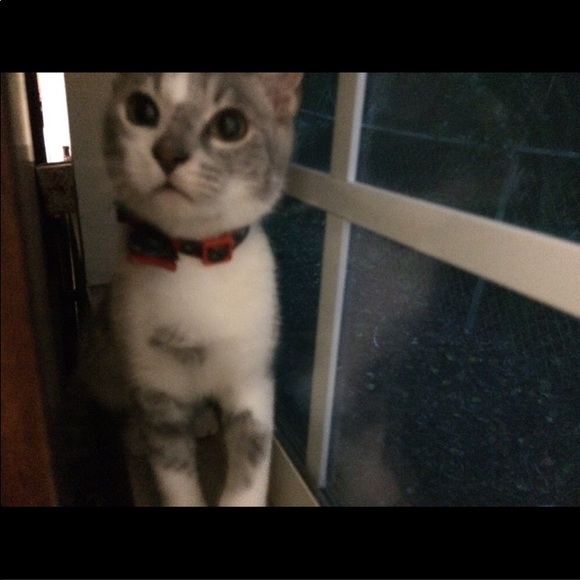 Meet the Posher! - Picture 5 of 5